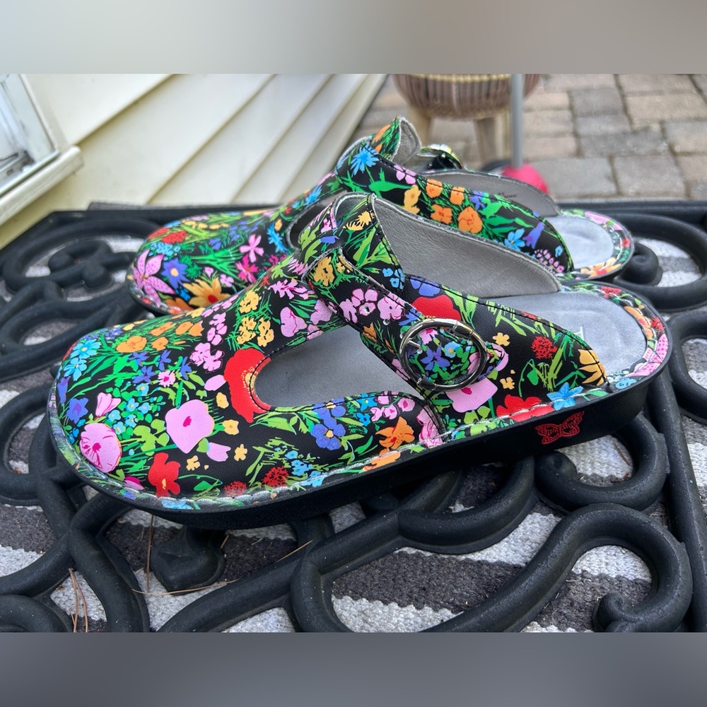 Alegria shoes